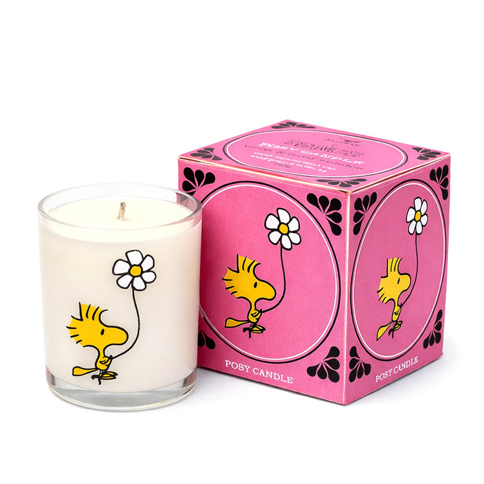 Candela "Snoopy & Woodstock"