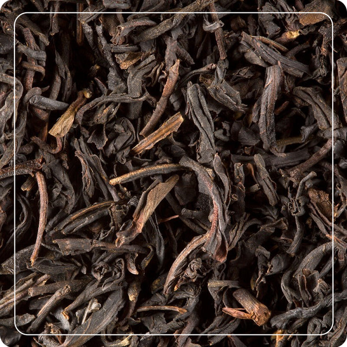 Tè Nero Darjeeling 50 filtri