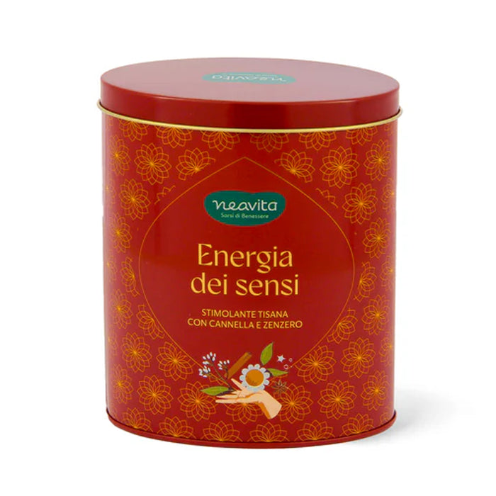 Tisana Cannella e Zenzero "Collezione Mindful Tea" 12 filtri