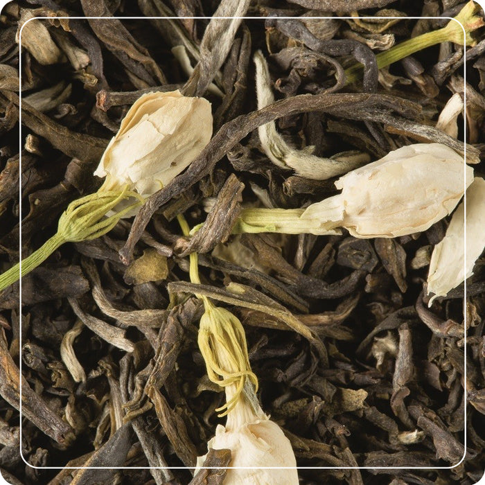 Tè Verde di Cina al Gelsomino 25 filtri