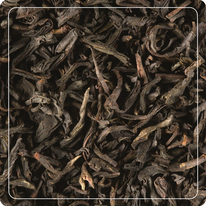 Tè Nero Gôut Russe Douchka 25 filtri