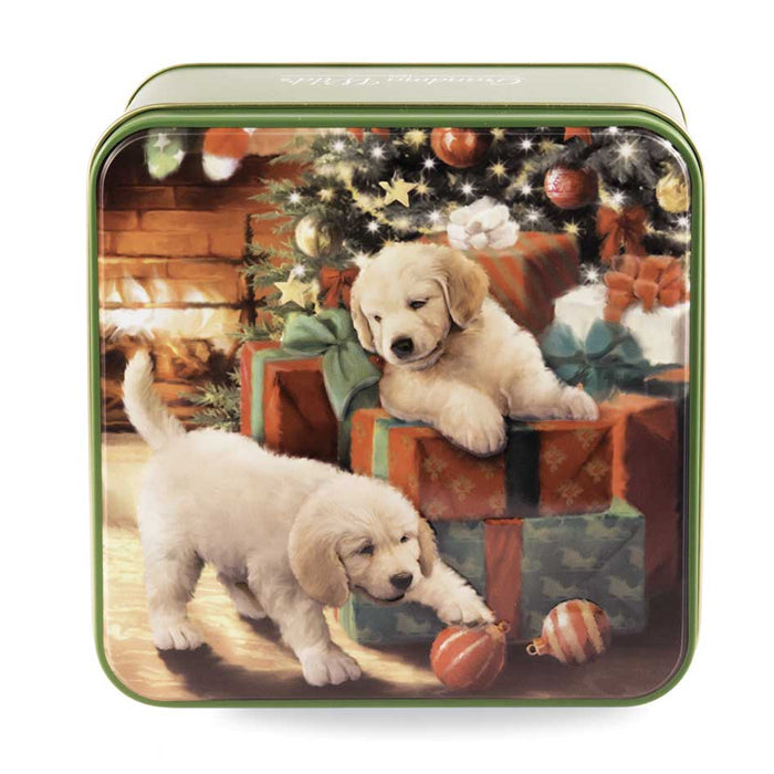 Scatola "Cuccioli e Regali" con biscotti inglesi 160g