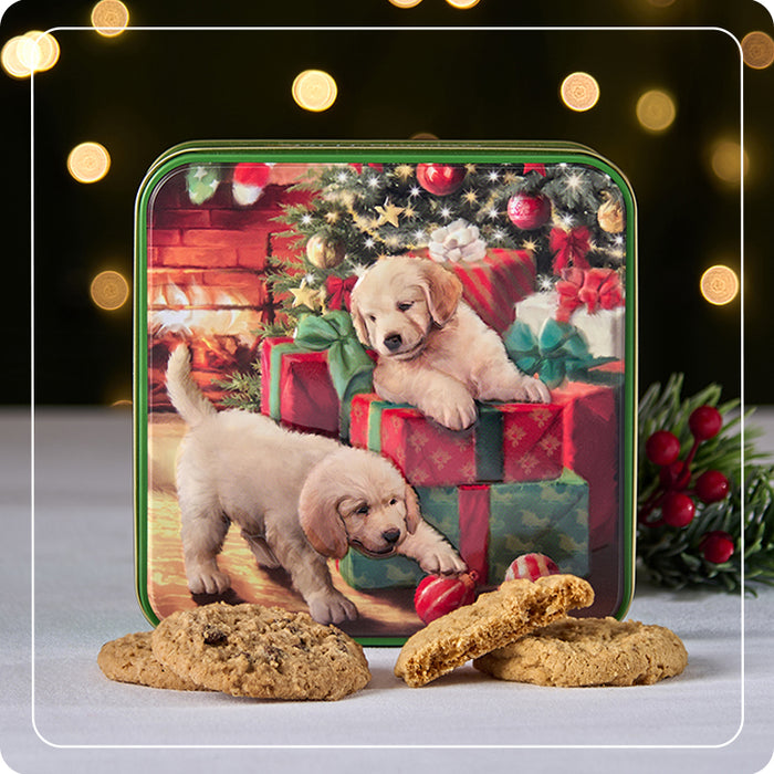 Scatola "Cuccioli e Regali" con biscotti inglesi 160g