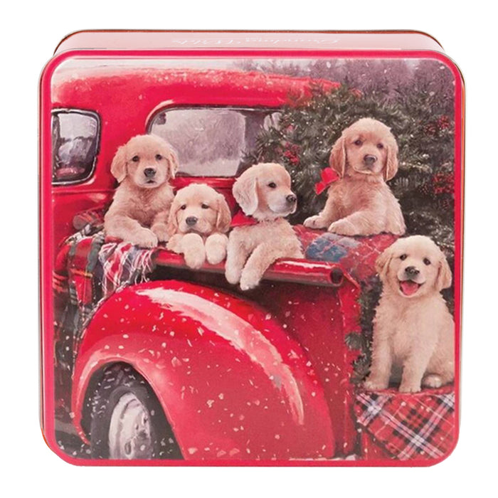 Scatola "Puppies in Pick Up" con biscotti 160g