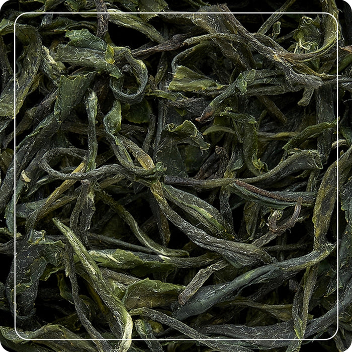 Tè verde Assolo 50g