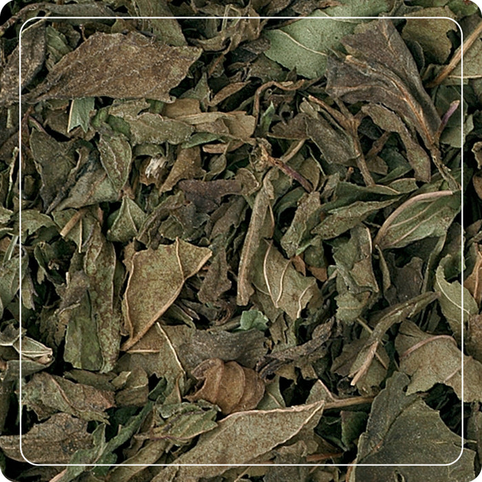 Tisana alla Menta 20g