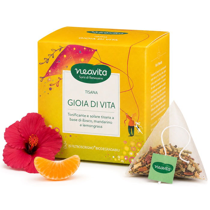 Tisana Gioia di Vita 15 filtri