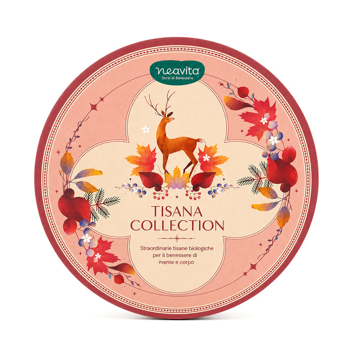 Cofanetto rosso "Tisana Collection" 40 filtri BIO