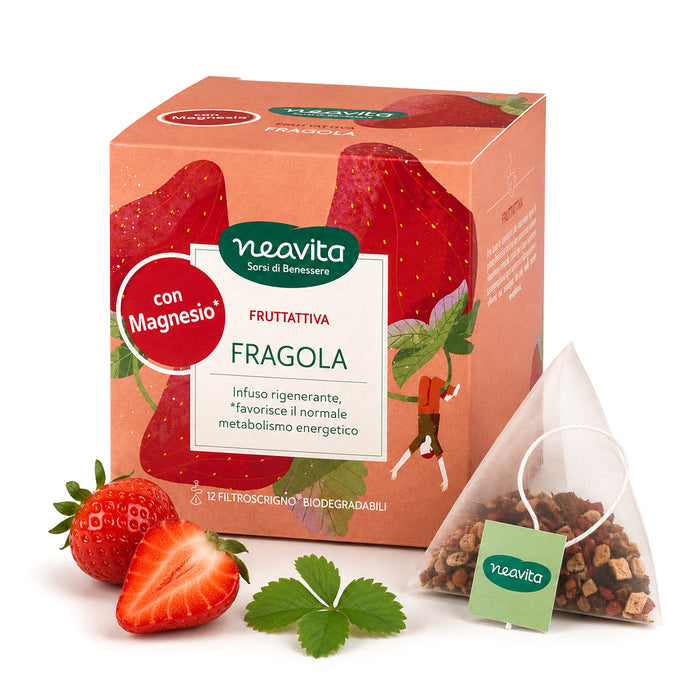 Tisana Fruttattiva alla Fragola 12 filtri