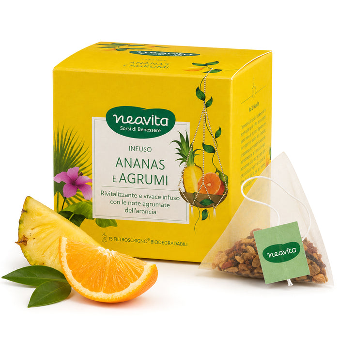 Infuso Ananas e Agrumi BIO 15 filtri