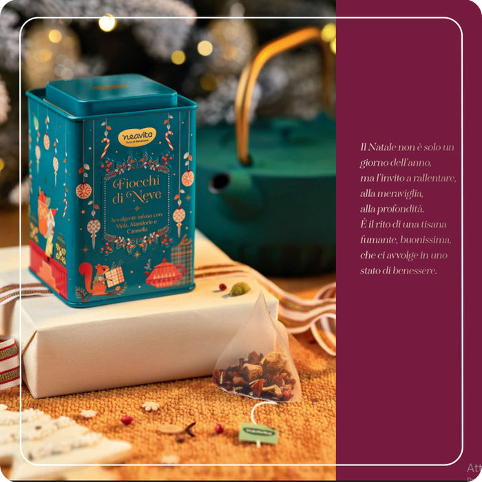 Infusion Christmas Winter Star