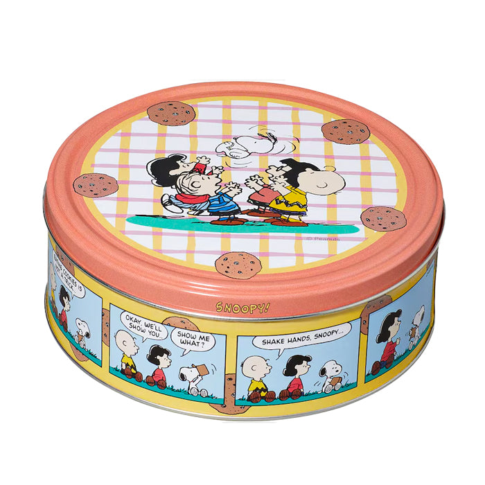 Scatola "Snoopy & Peanuts Gang" con biscotti 150g