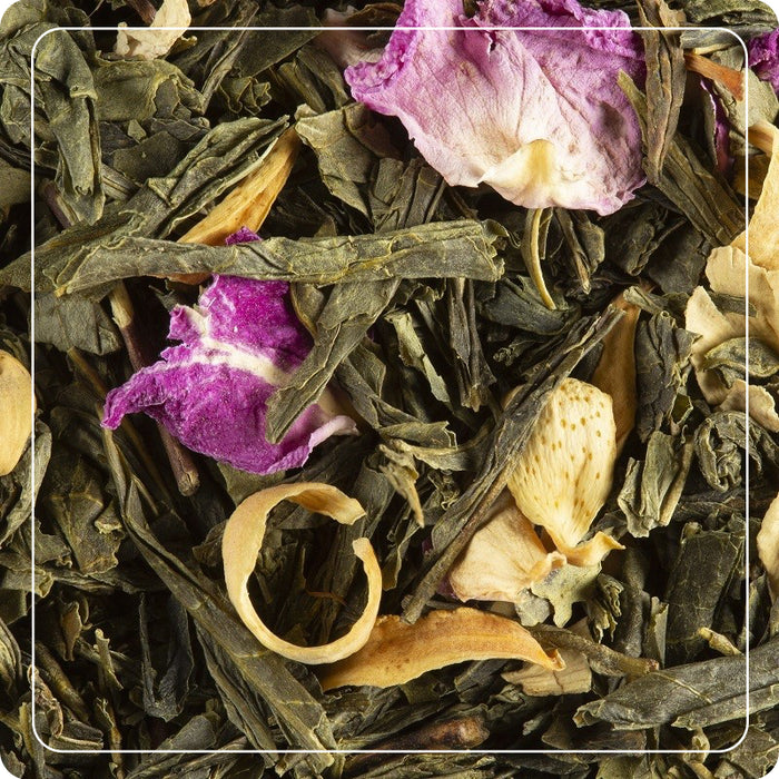 Tè Verde Nuit à Versailles 25 filtri