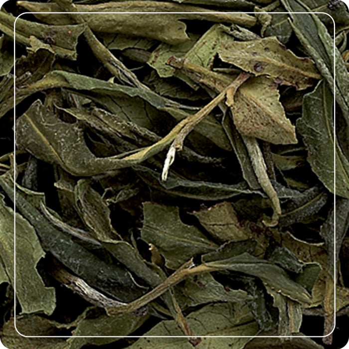 Tè bianco "Pai Mu Tan" 15g