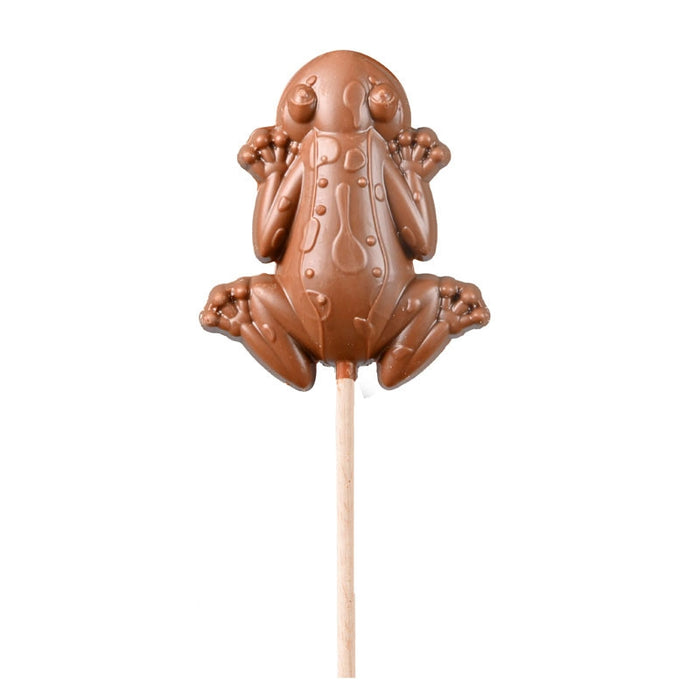 Lollipop Cioccorana Harry Potter 40g