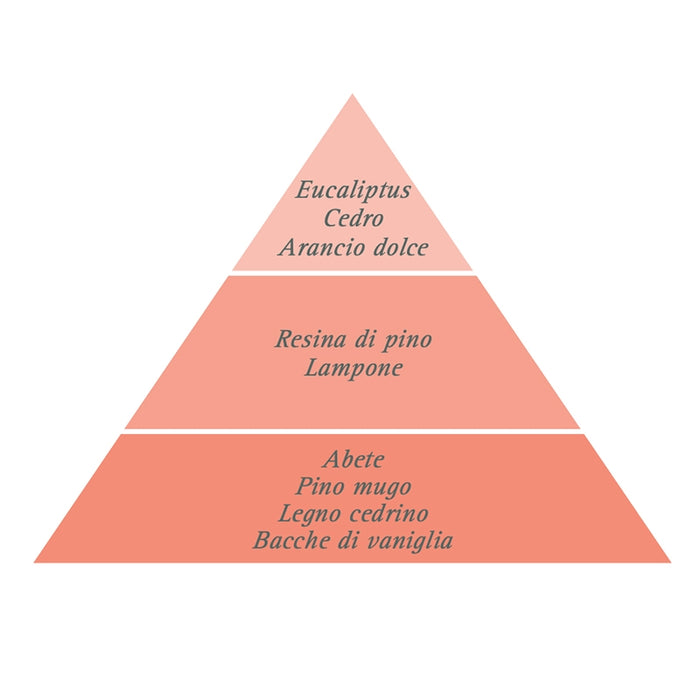 Diffuser White Fir and Vanilla 200ml