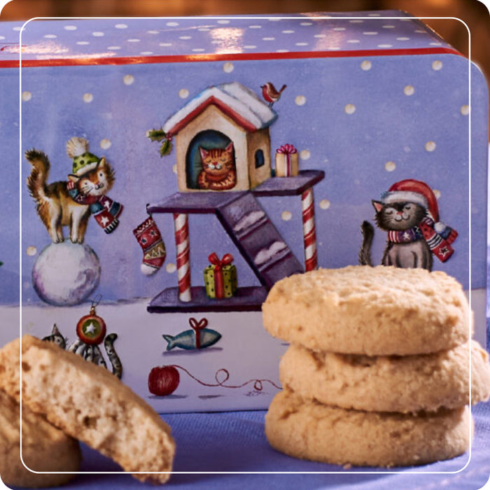 Scatola 'Christmas Party Cat' con biscotti 200g