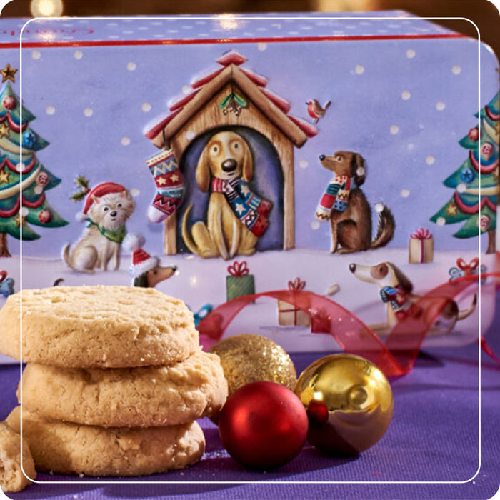 Scatola 'Christmas Party Dog' con biscotti 200g